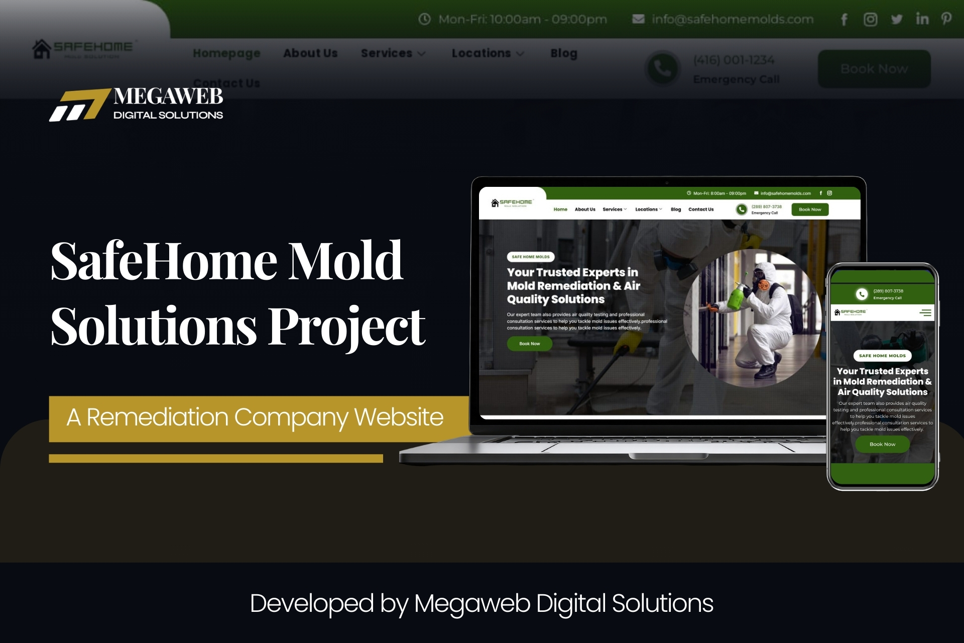 SafeHome Mold Solutions